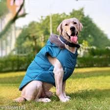 Dog Coat